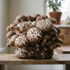 Shiitake ready to fruit mushroom block